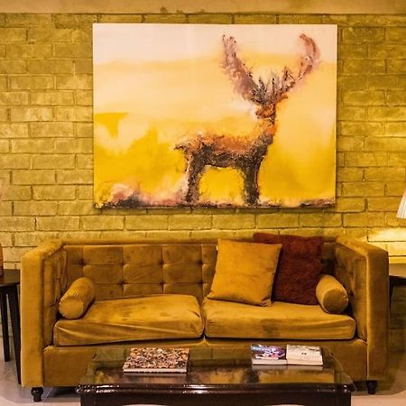 3 Bd House Steps From Santo Domingo Apartment Oaxaca Ngoại thất bức ảnh