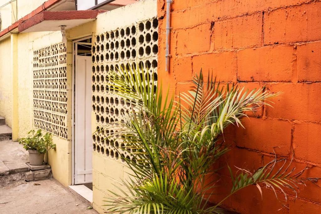 3 Bd House Steps From Santo Domingo Apartment Oaxaca Ngoại thất bức ảnh