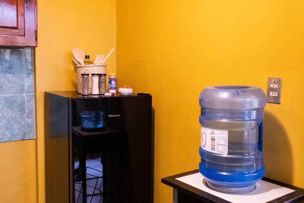 3 Bd House Steps From Santo Domingo Apartment Oaxaca Ngoại thất bức ảnh