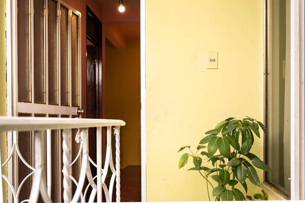 3 Bd House Steps From Santo Domingo Apartment Oaxaca Ngoại thất bức ảnh