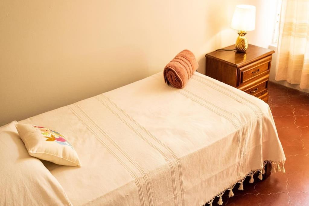 3 Bd House Steps From Santo Domingo Apartment Oaxaca Ngoại thất bức ảnh